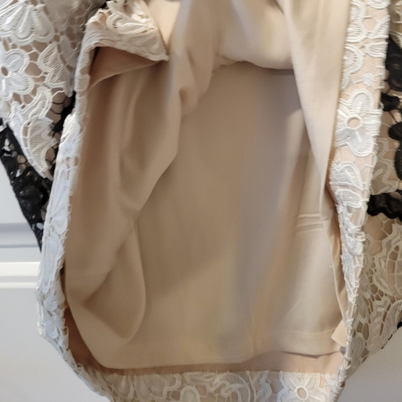 🆕️Adrianna Papell black & ivory stripe lace sheath dress 14 - Picture 7 of 10